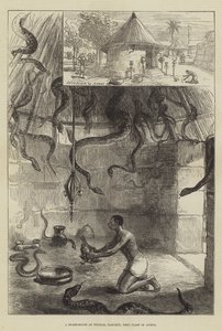 Una Casa de Serpientes en Whydah, Dahomey, Costa Oeste de África